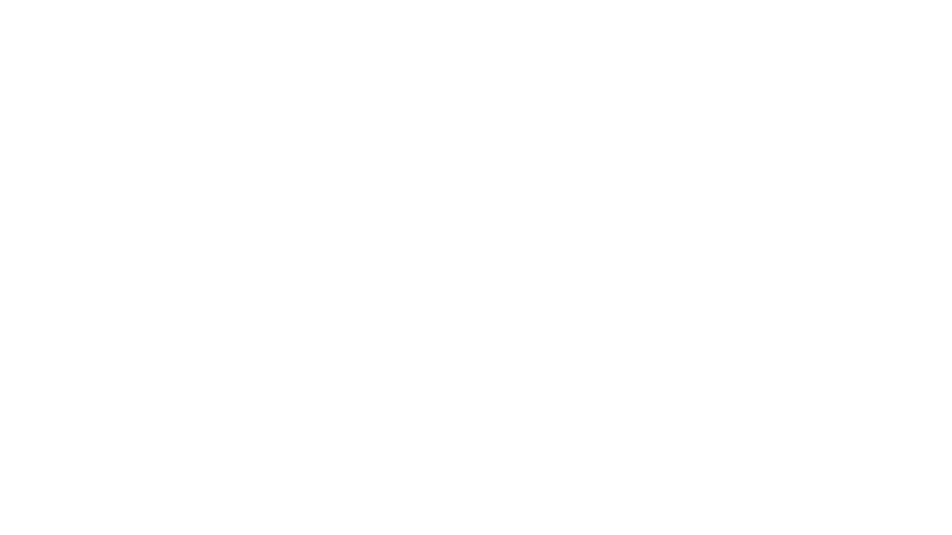 polisan_