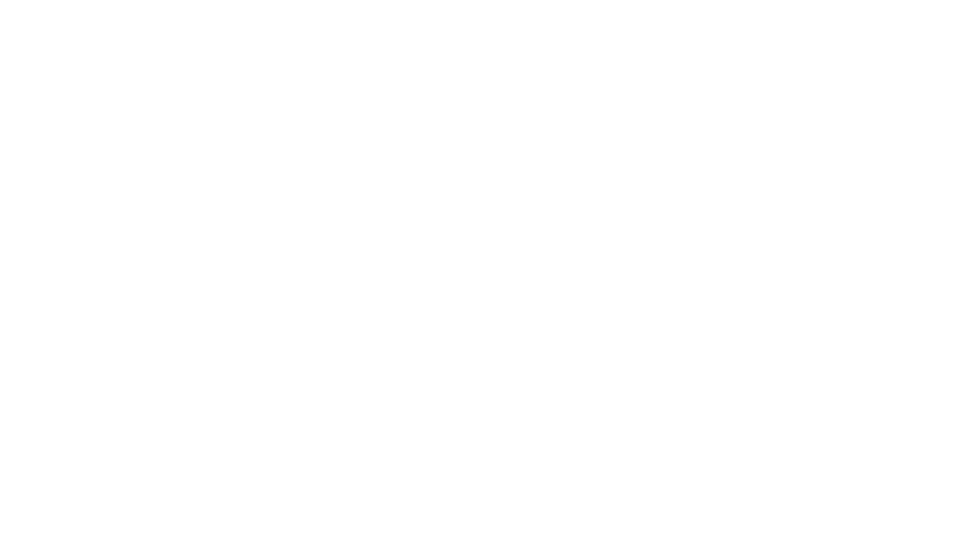 DİNCER LOJİSTİK_