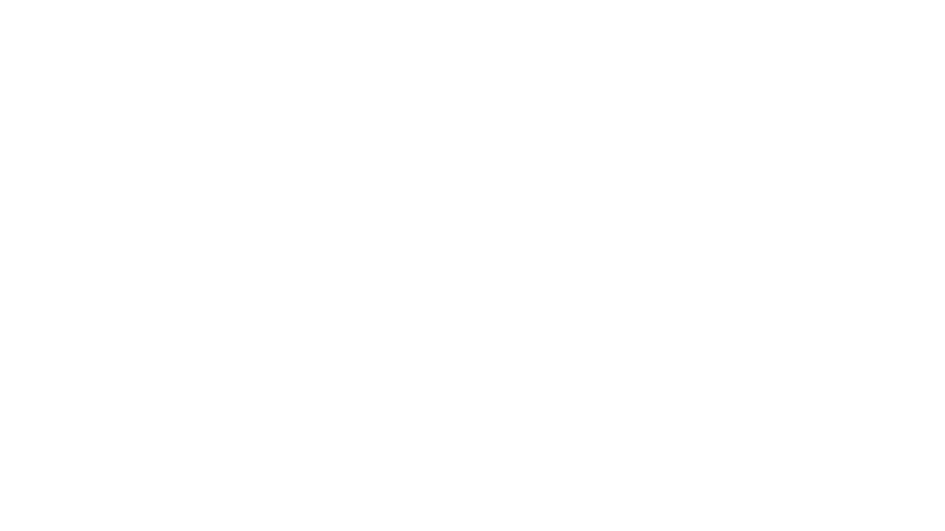 FARFLY_LOGO_WEB