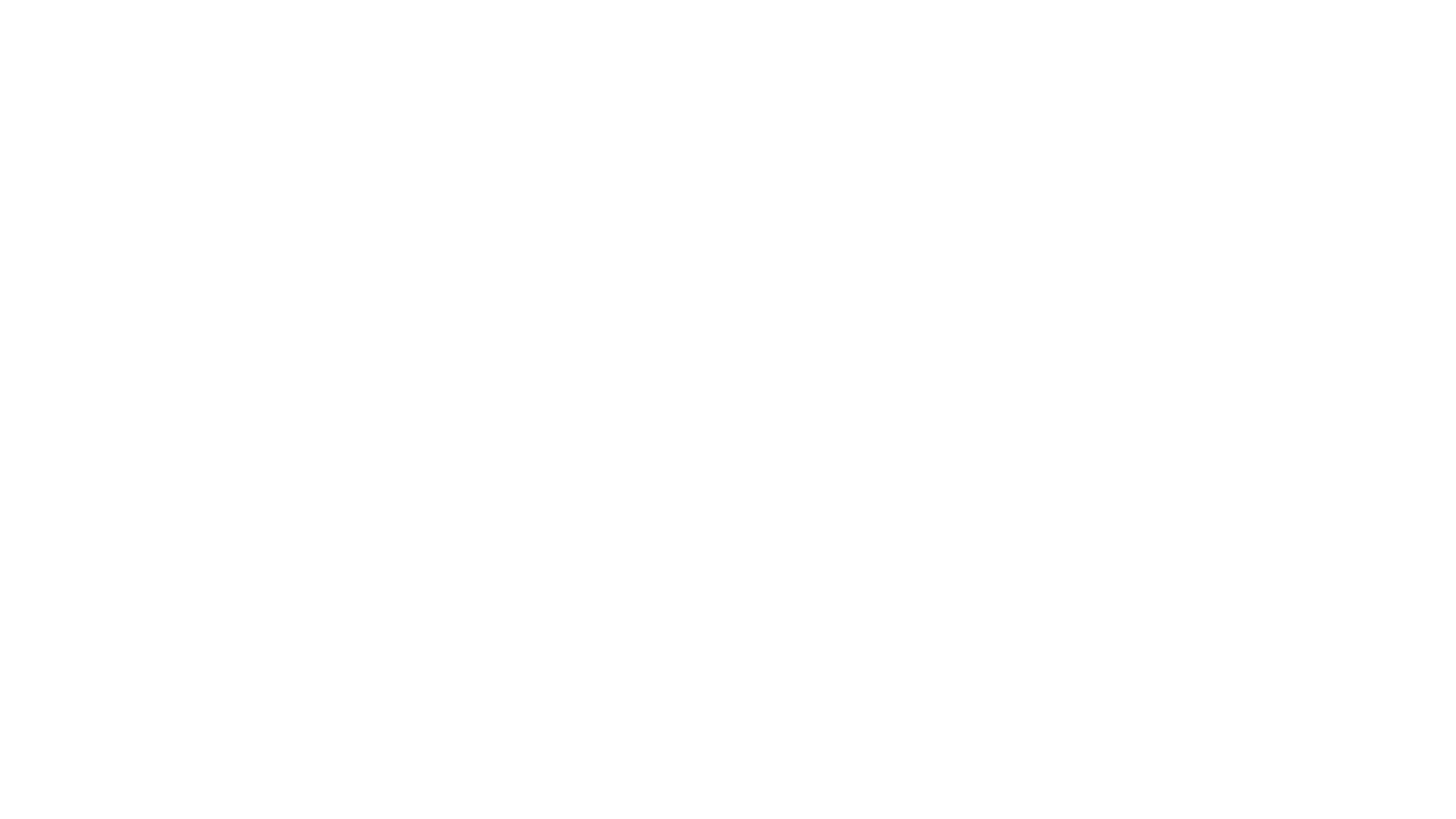 erler boya_